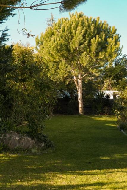 100qm, Dachterasse, großer Pool mit Poolhaus und Sauna, Garten, Natur, traumhafter Ausblick, Außenküche, BBQ Station Pataias Exterior foto